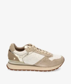 Deportivos GioseppoARDAGGER en beige