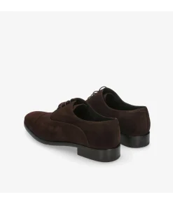 Zapatos de vestir HOBBS- DON 10731 en serraje marrón